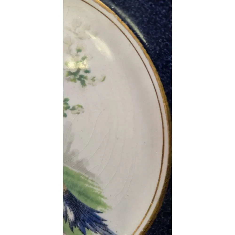 Wedgwood & Co. England Imperial Porcelain plates
